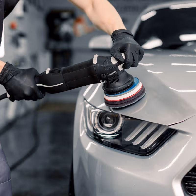 Poligon Oto Pasta Cila